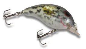 Bandit 100 - Crappie